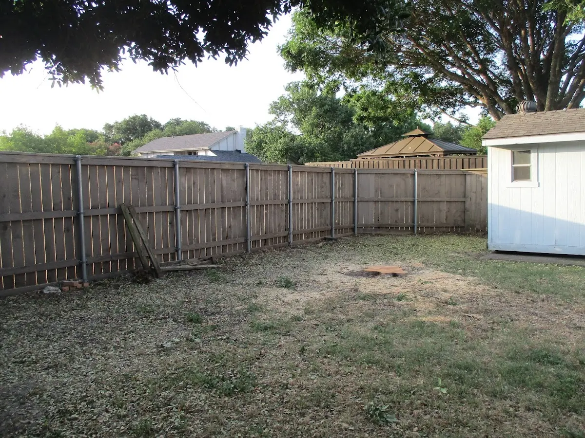 Cleared yard after professional tree removal in Folcroft