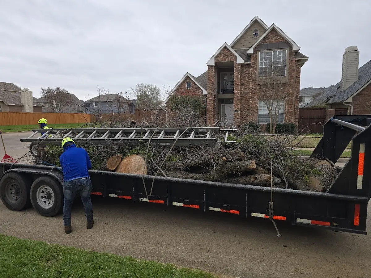 Expert Tree Fertilization with proper safety equipment in Folcroft